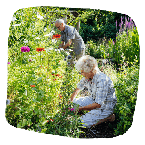 tuinhulp-ouderen-gezocht