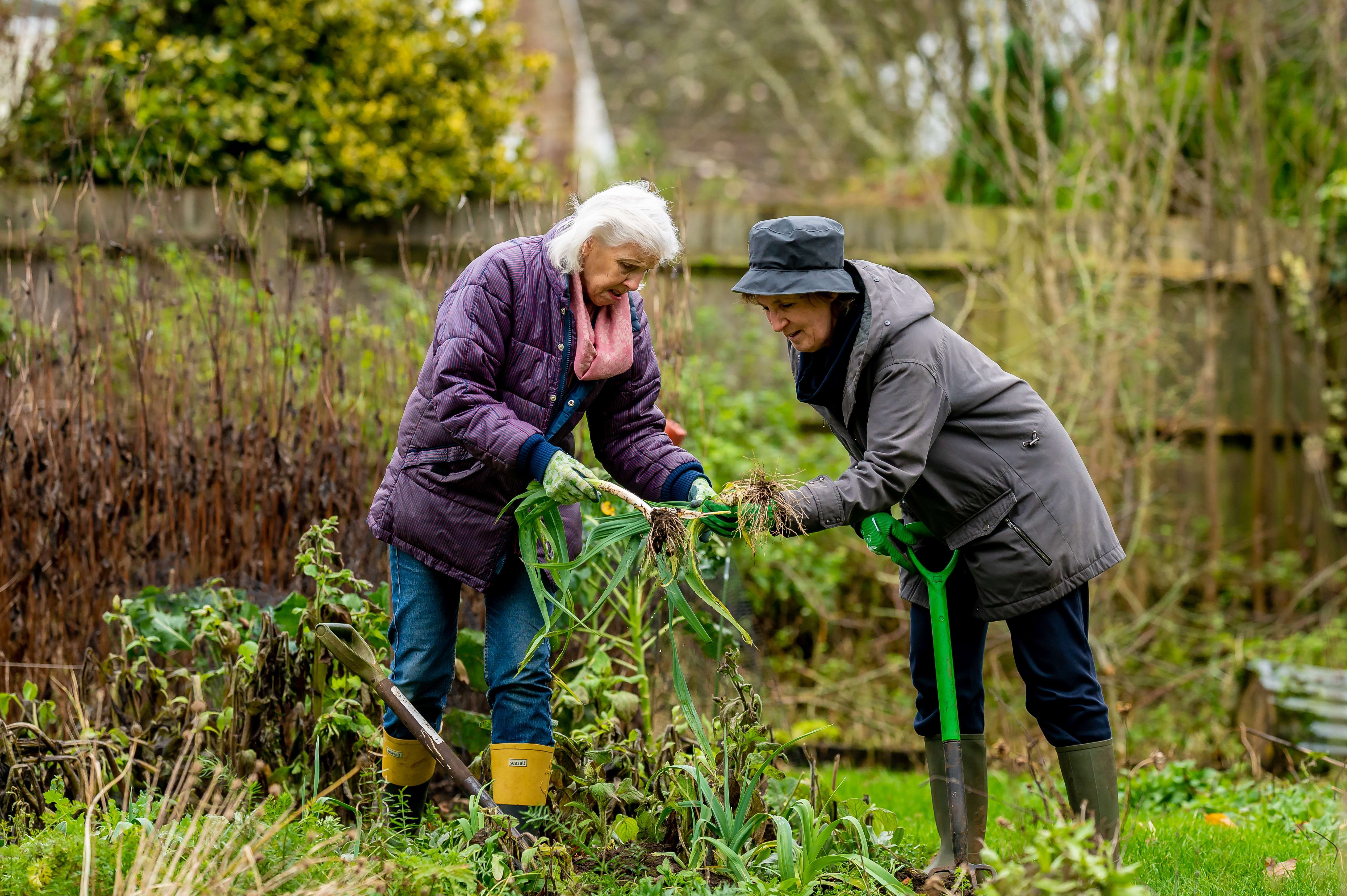 tuinhulp gezocht voor ouderen