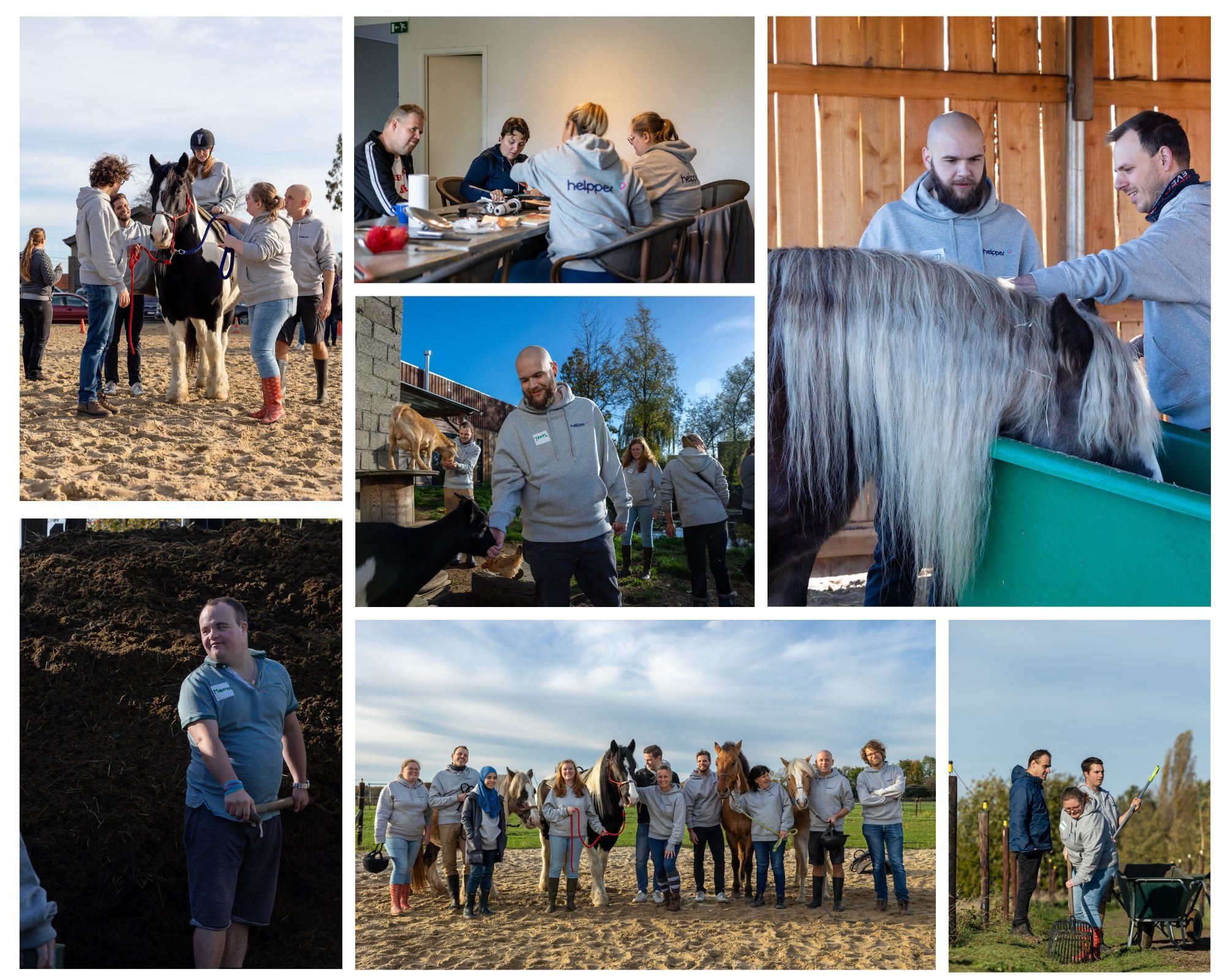 Een fotocollage van de teambuilding van Helpper op een zorgboerderij