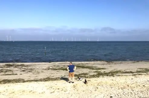 Budgethouder aan zee