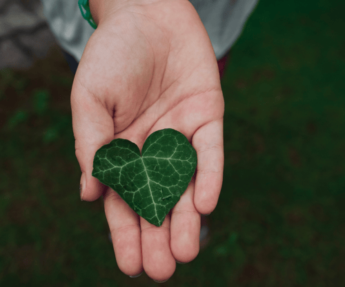 Een hart in een hand