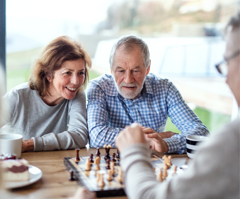 koppel speelt schaakspel