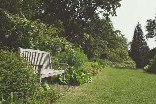 Un beau jardin avec un banc vide