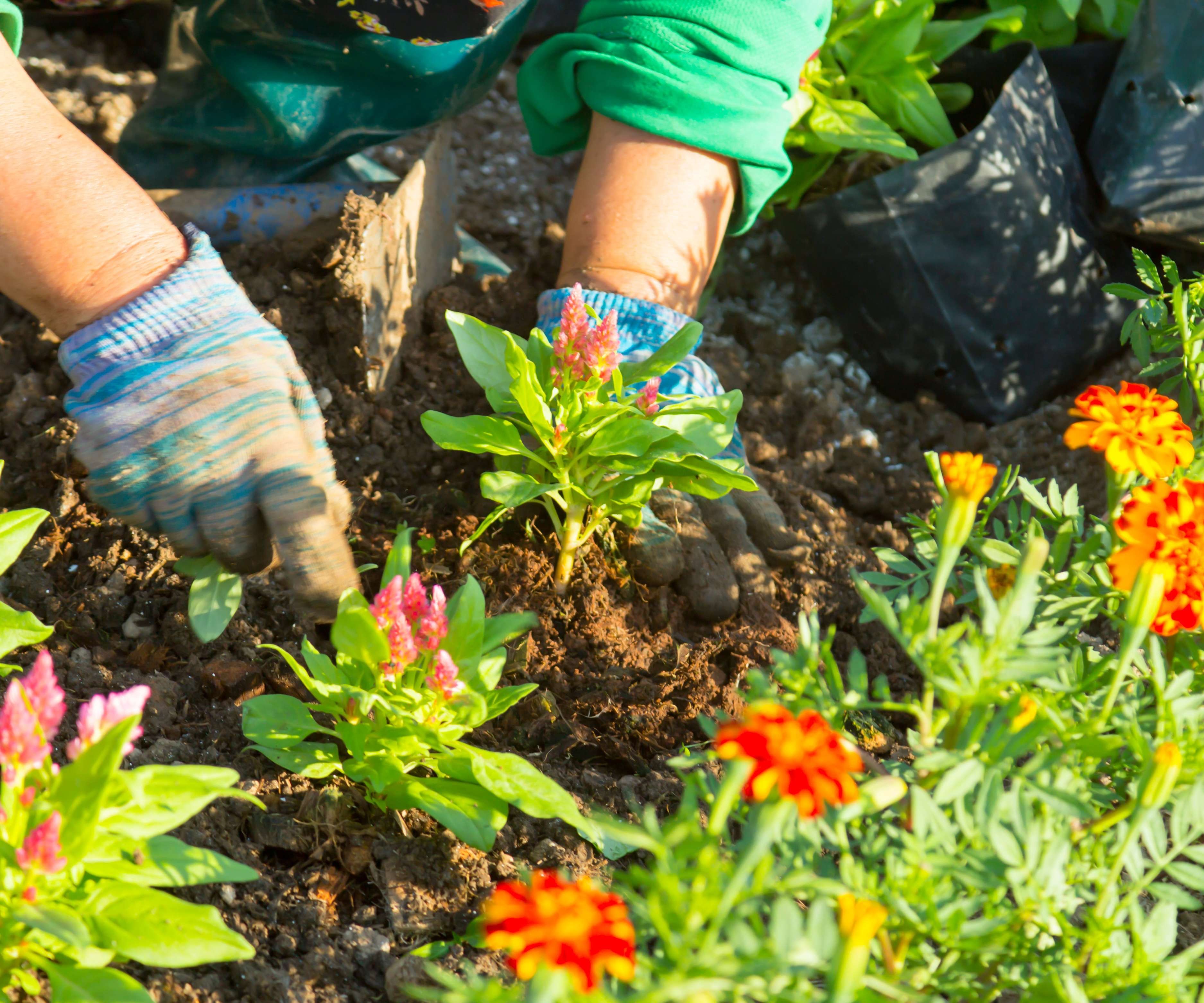 tuinhulp 7 veelgestelde vragen